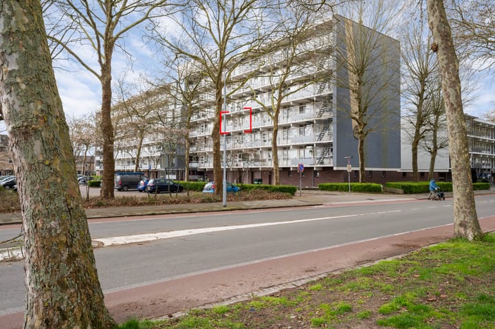 Regenboogstraat 45