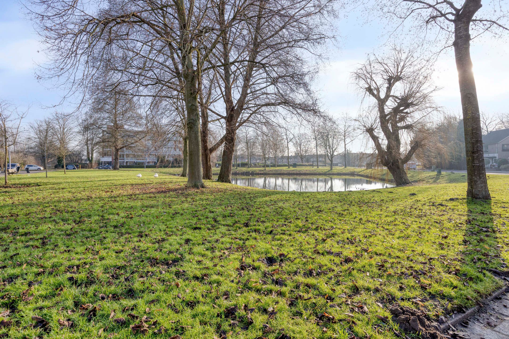 Foto 27 van Horstermeerstraat 15