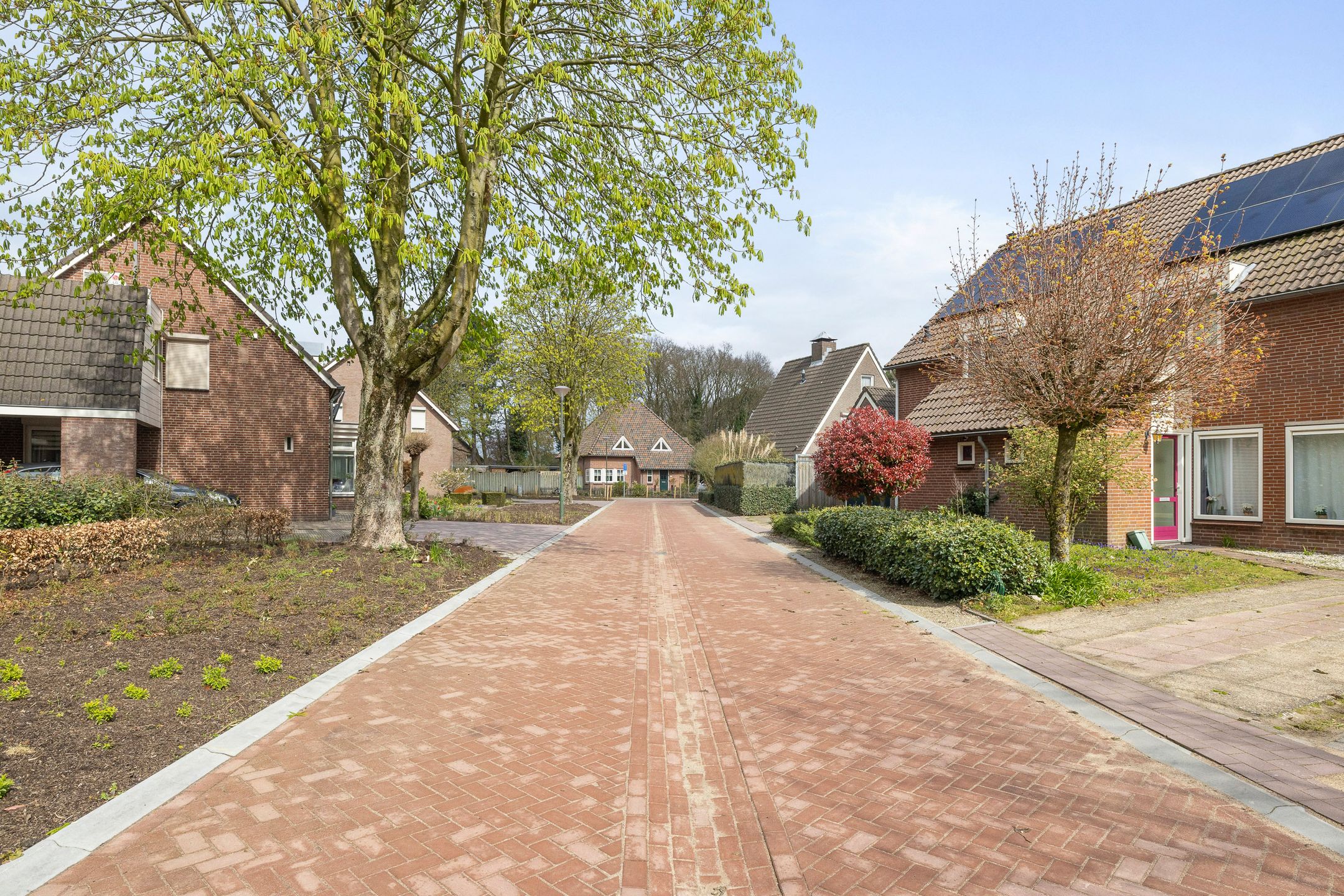 Foto 33 van De Kastanjes 14