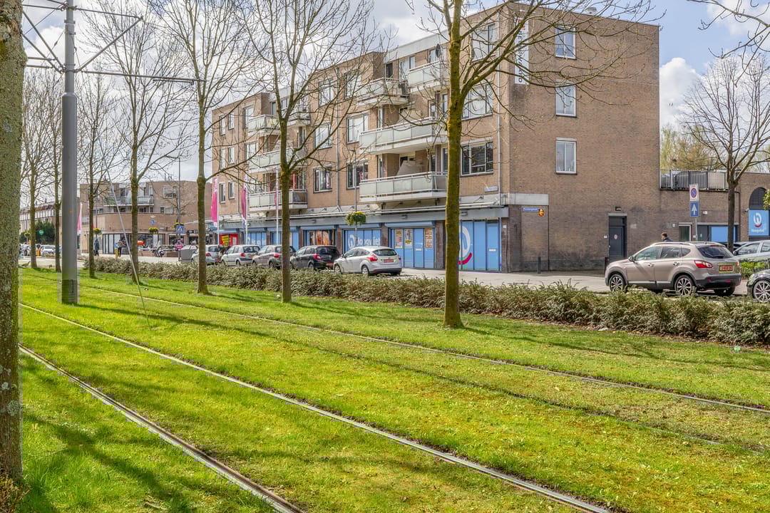 Foto 7 van Rhijnauwensingel 208