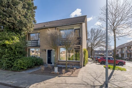 Dr. Albert Schweitzerlaan thumbnail