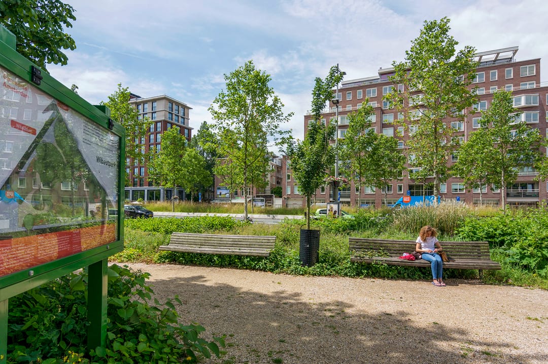 Foto 43 van Blasiusstraat 63-3