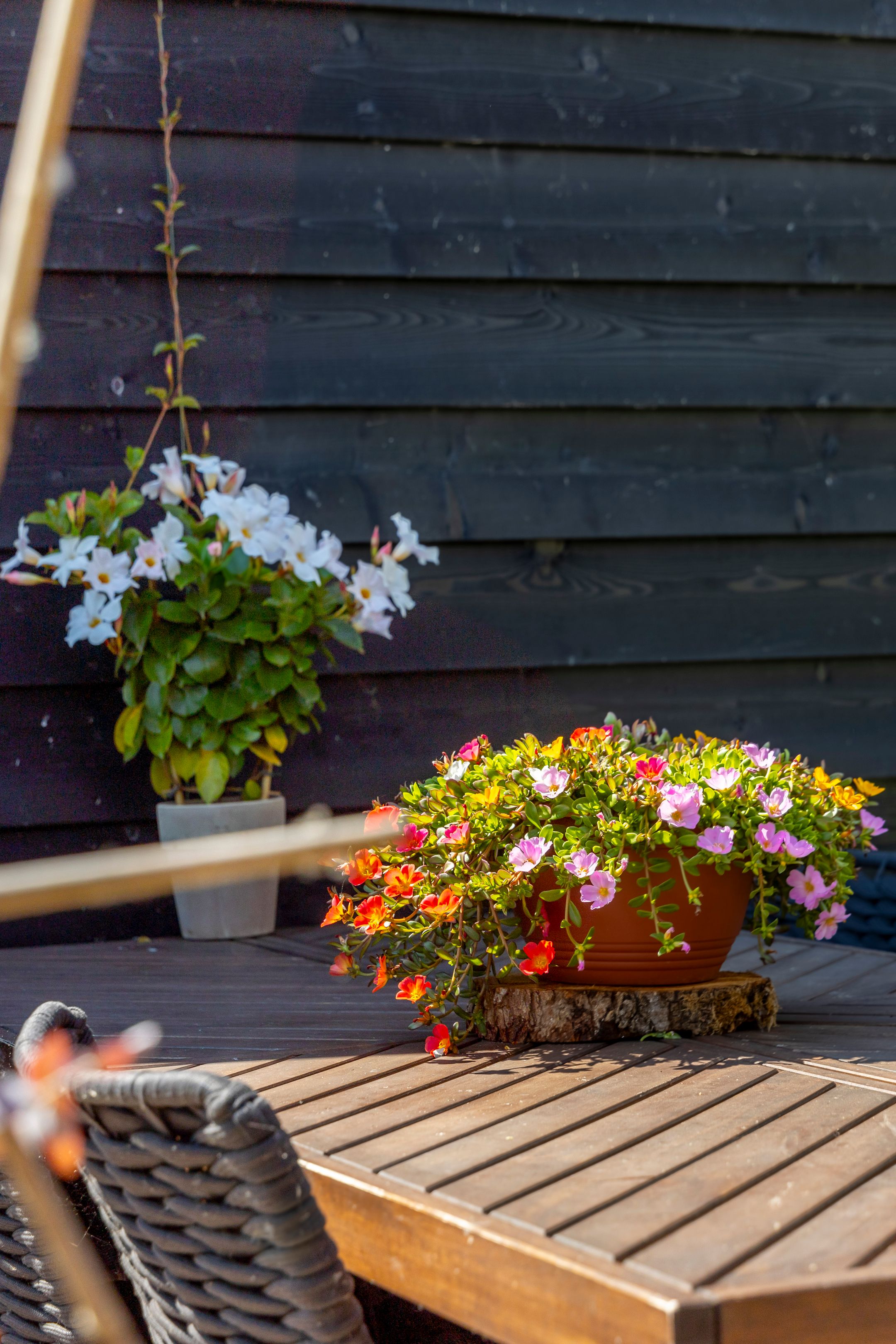 Photo 36 of Fortuijnplein 22