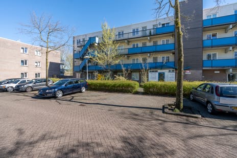 Chilidreef thumbnail