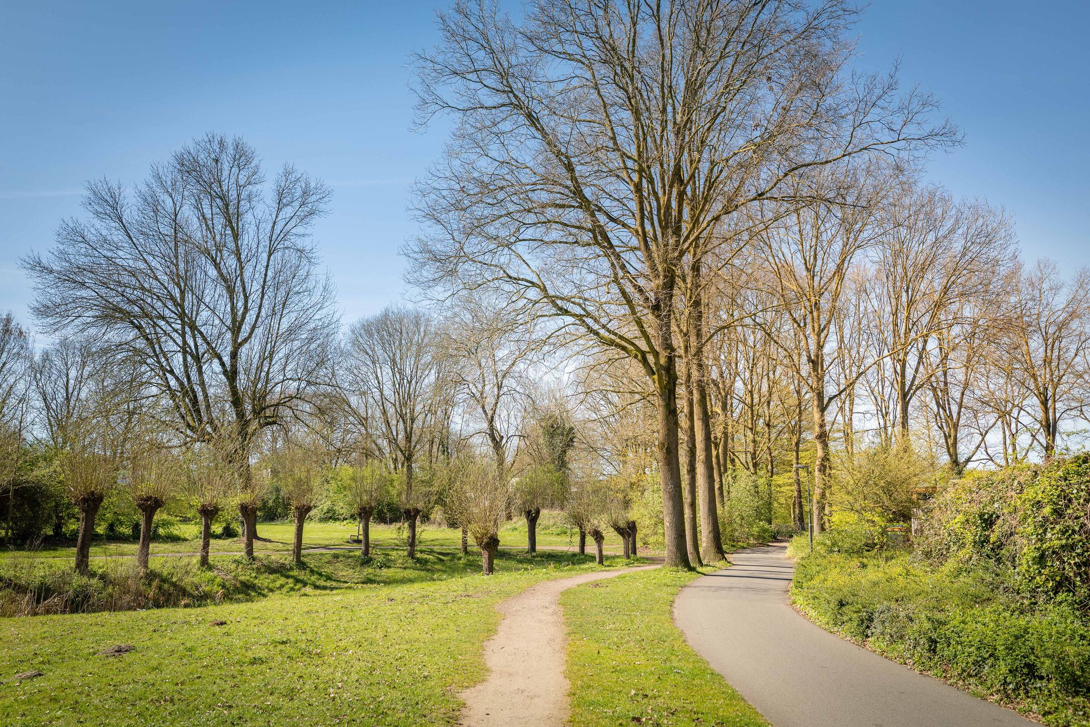 Foto 27 van Nachtegaal 41