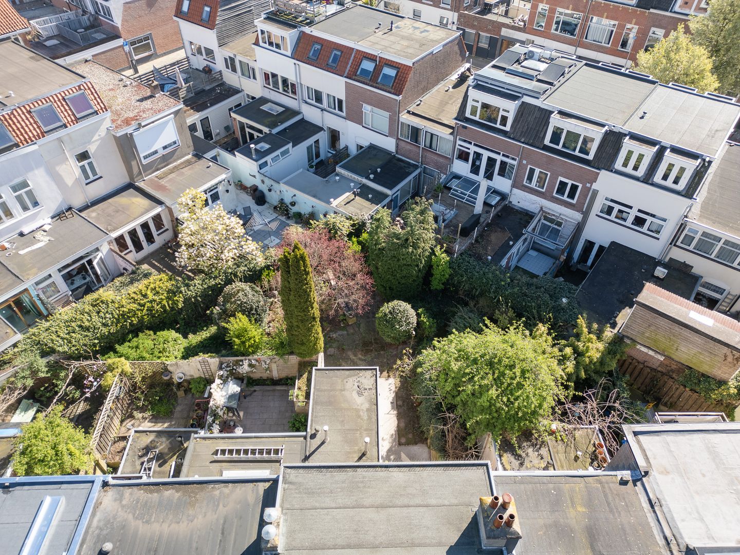 Photo 4 of Bankaplein 18