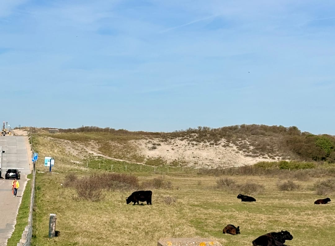 Foto 22 van Duinstraat 33