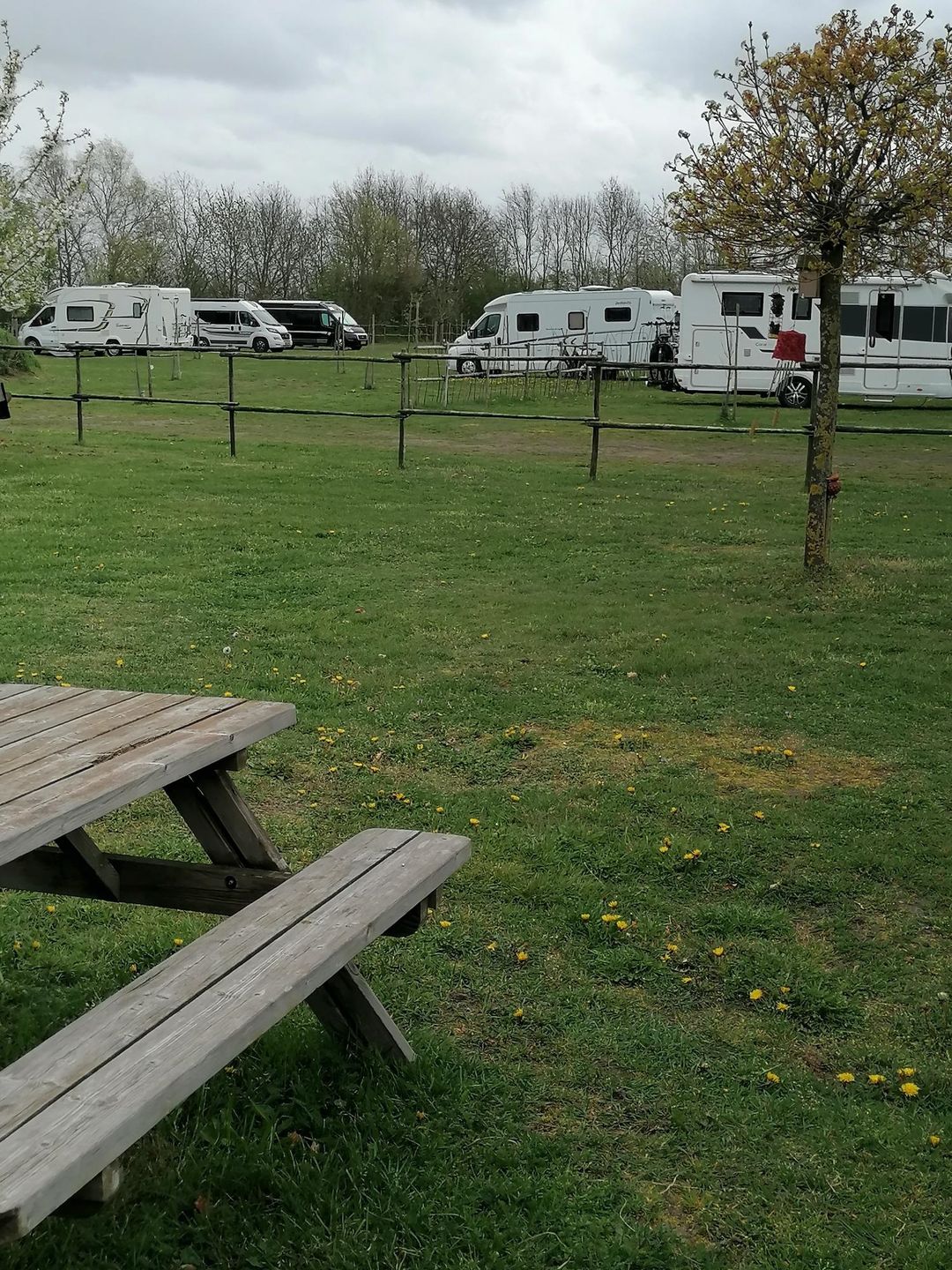 Photo 46 of Radioweg 14