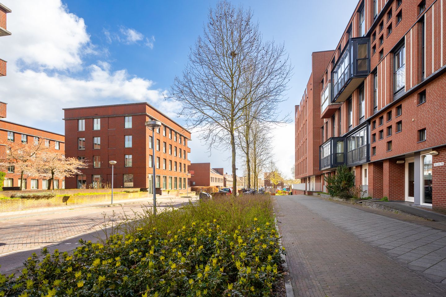 Foto 5 van Voorsterbeeklaan 38