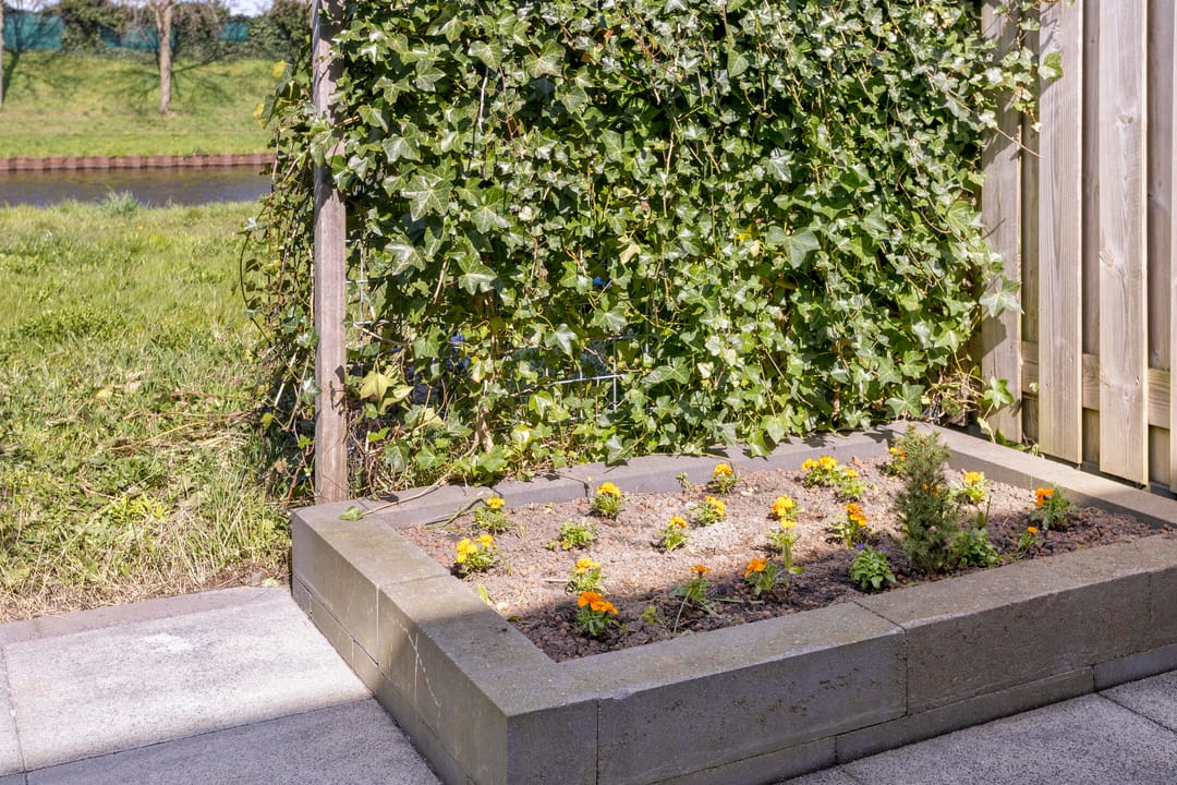 Foto 37 van Schoonrijder 53