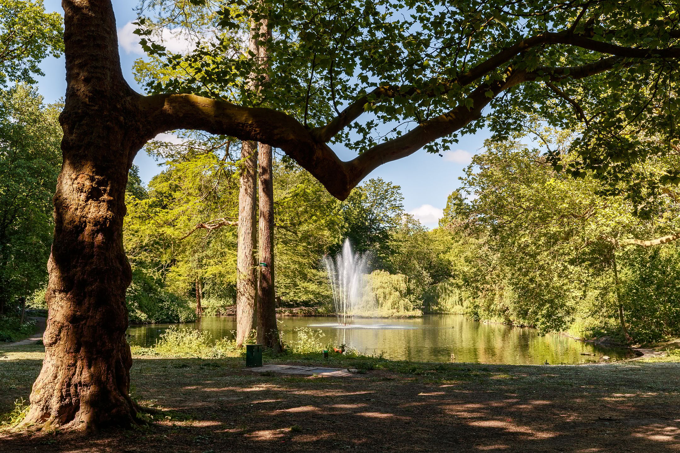 Foto 39 van Balderikstraat 32