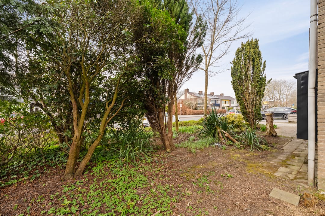 Photo 37 of Scandinaviëlaan 23