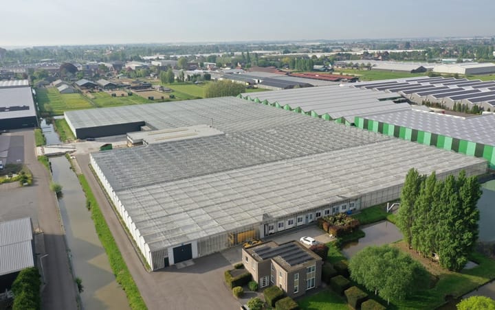 Rietwijkeroordweg 60-kwek, Aalsmeer