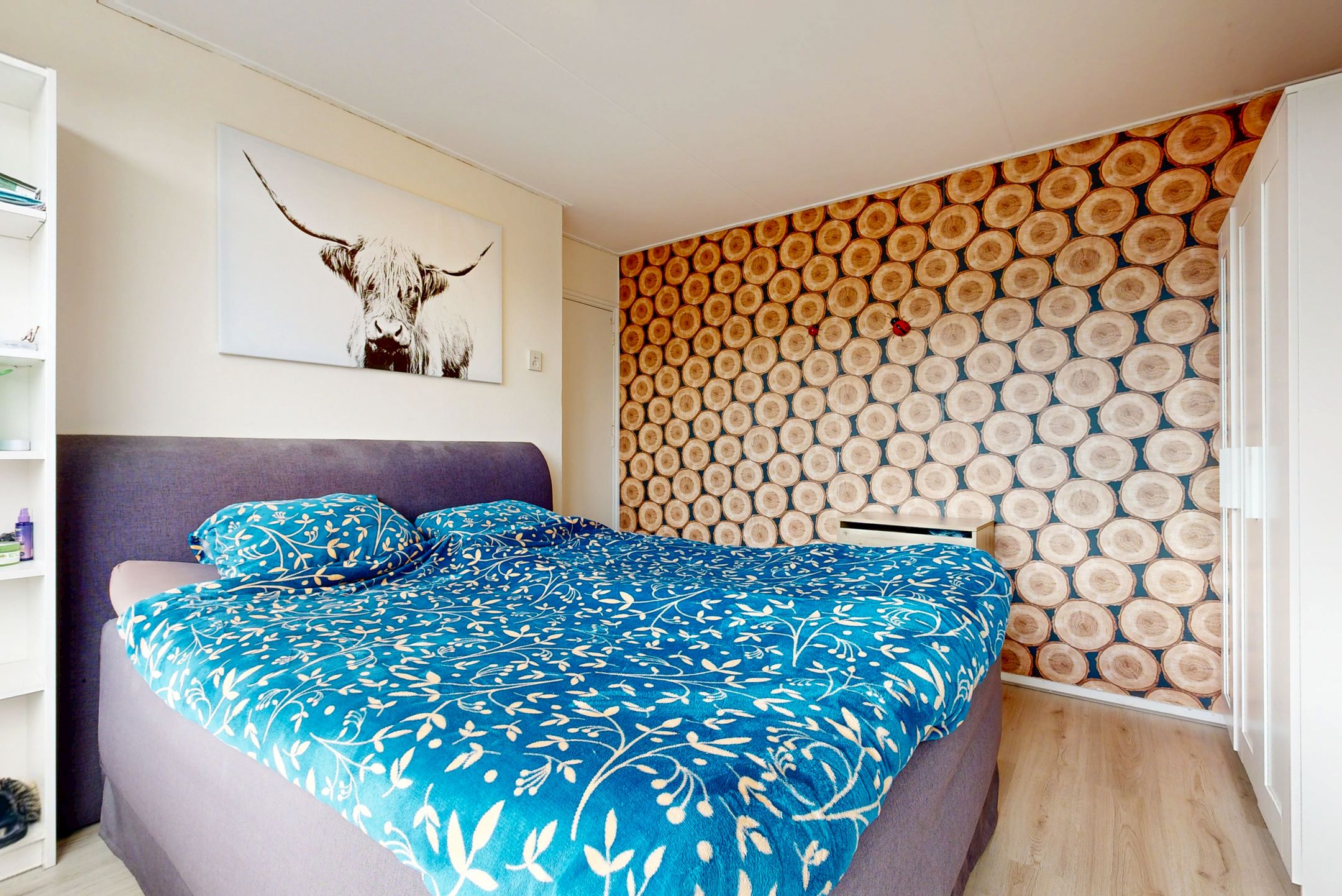 Foto 12 van van Wassenaerstraat 29