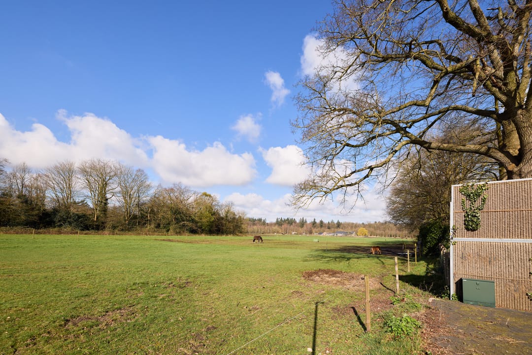 Foto 11 van Koninginnelaan 24-C