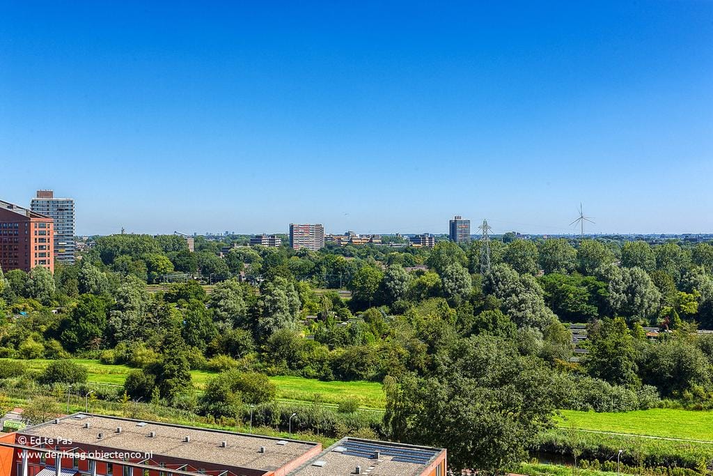 Foto 18 van Hongarenburg 156