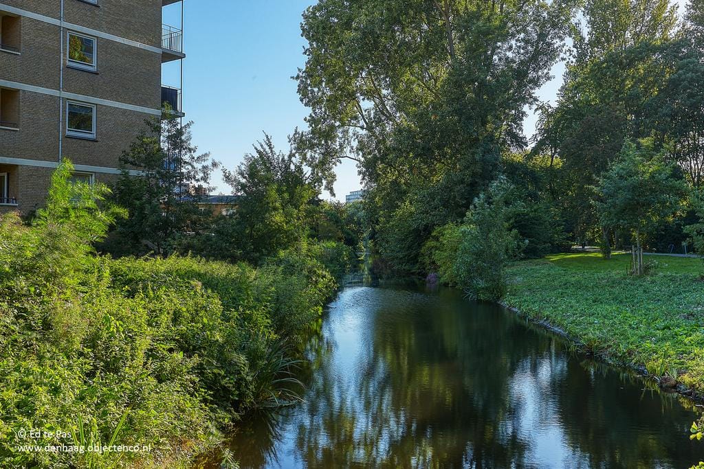 Foto 33 van Hongarenburg 156