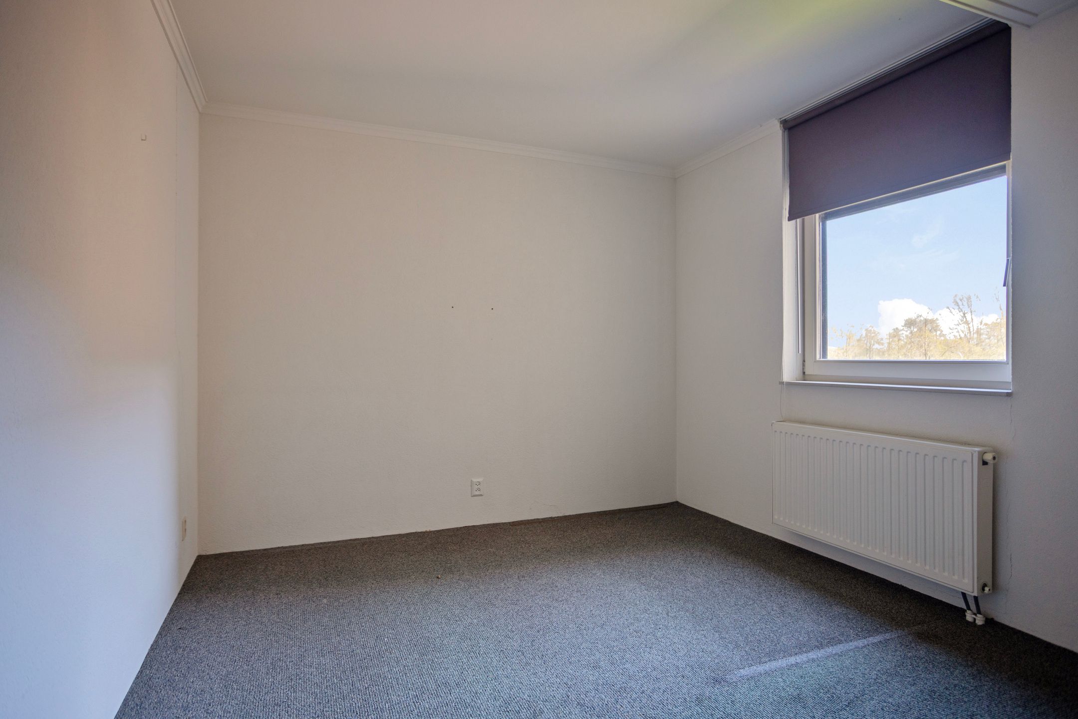 Foto 30 van Reestlaan 142