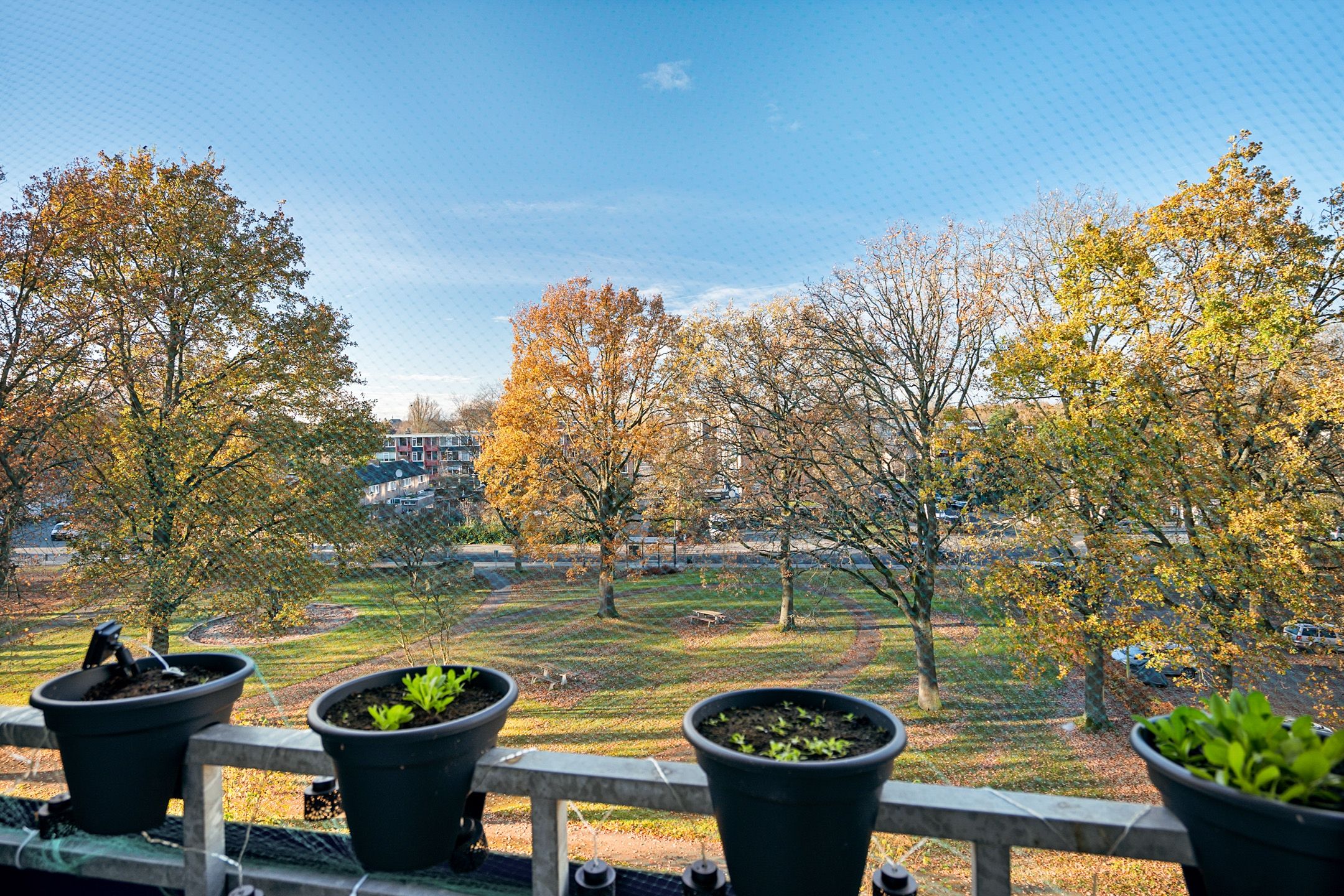 Foto 39 van Lingestraat 52