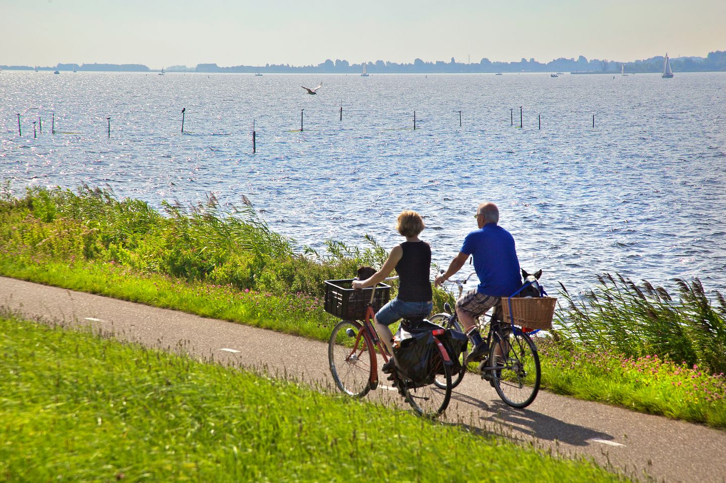 Foto 35 van Dijkmeent 80