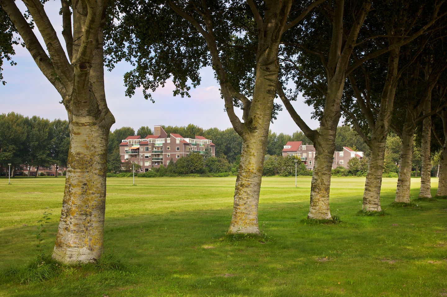 Foto 34 van Dijkmeent 80