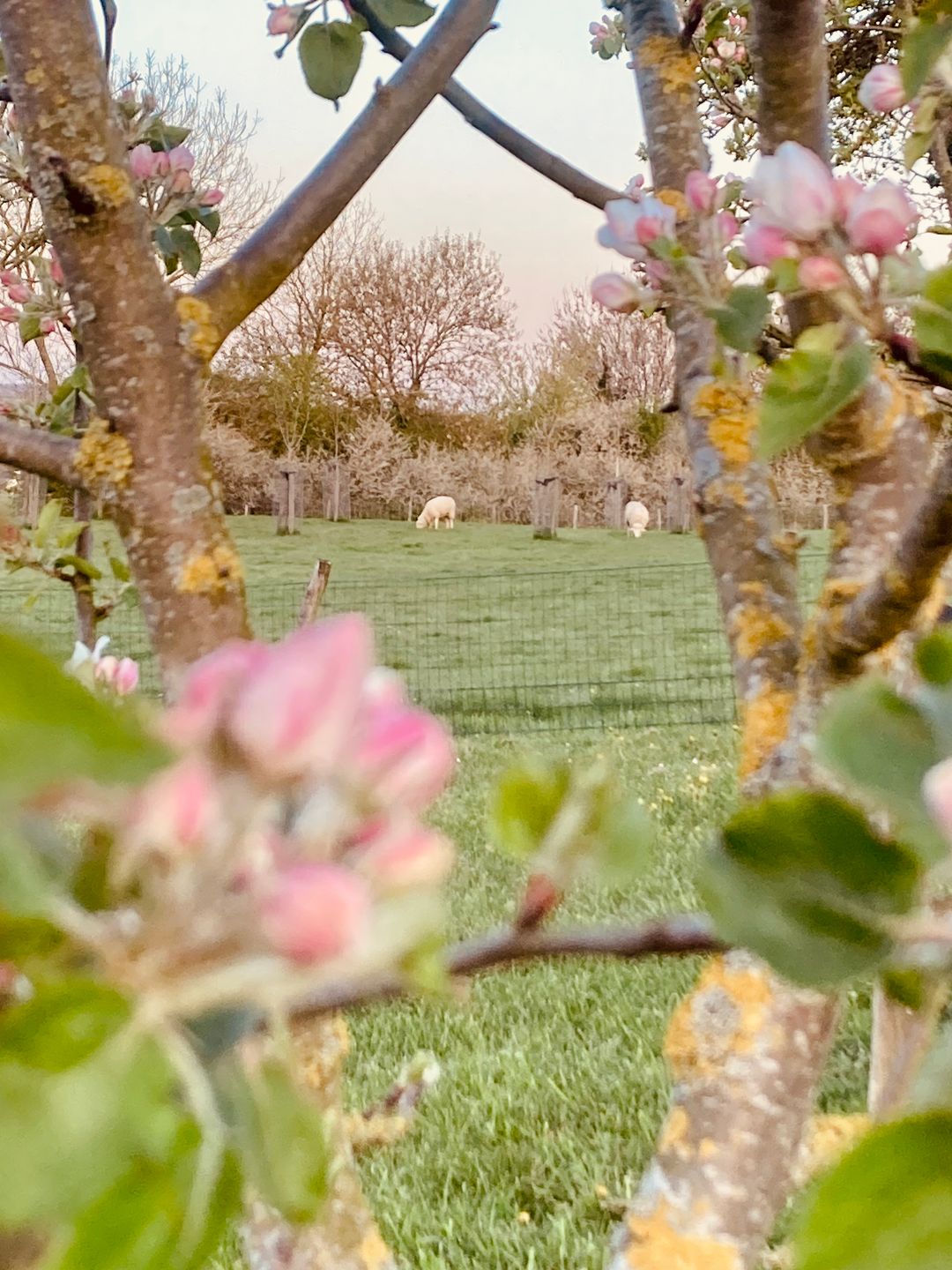 Foto 31 van Kerkstraat 17