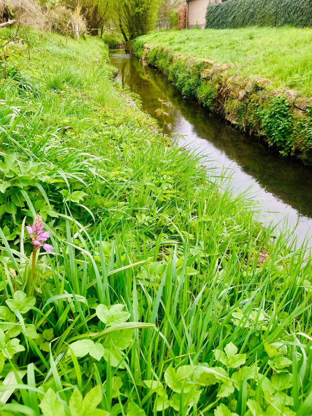 Foto 32 van Kerkstraat 17