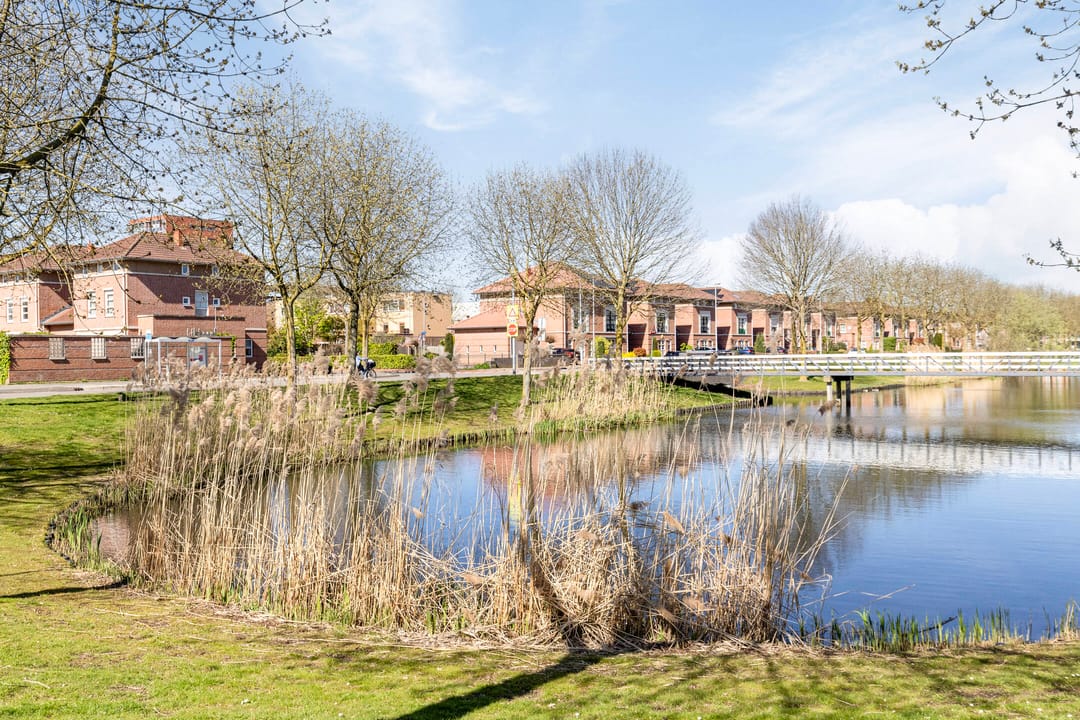 Foto 37 van Gelaarsde Kat 34