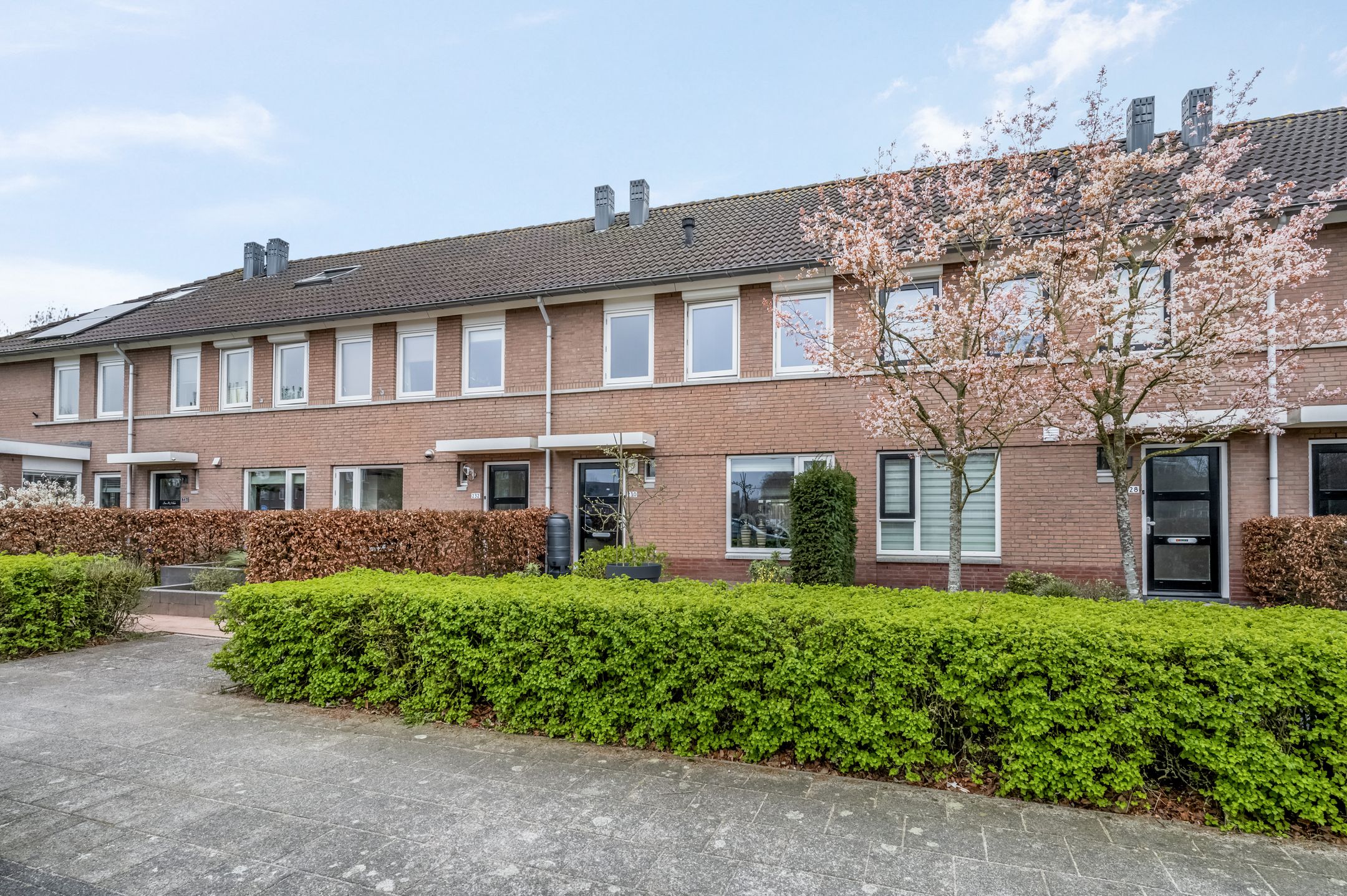 Foto 6 van Watertuin 230