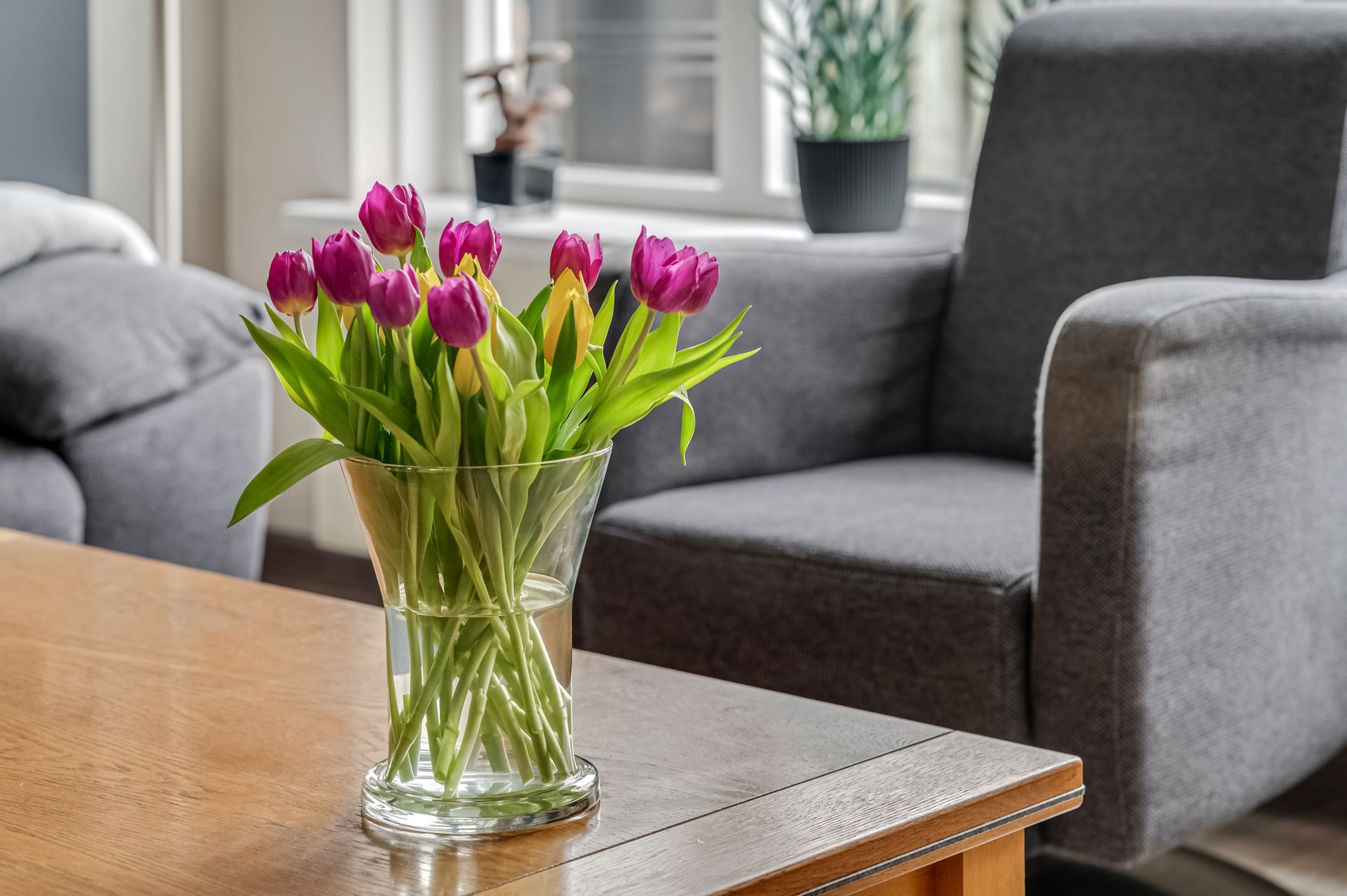 Foto 12 van Watertuin 230