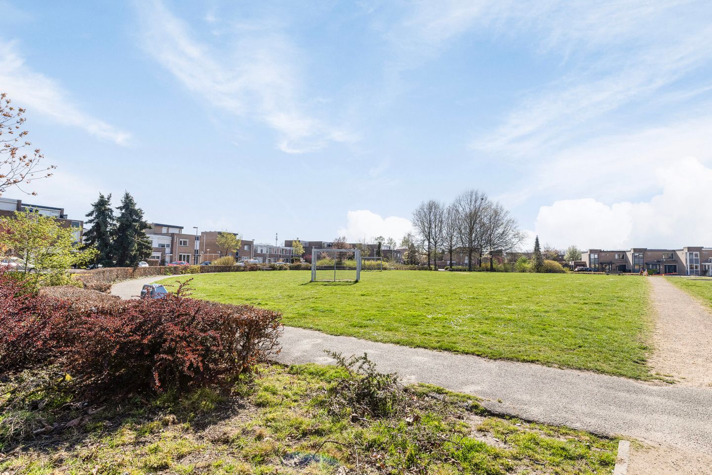 Foto 34 van Gelaarsde Kat 34