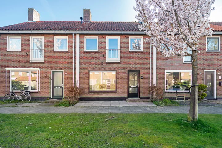 Duizendknoopstraat 82