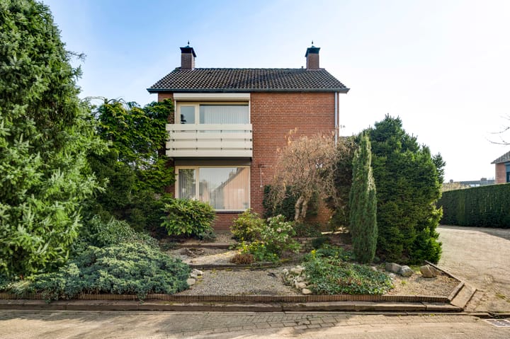 Foto 4 van Schuttecleef 2