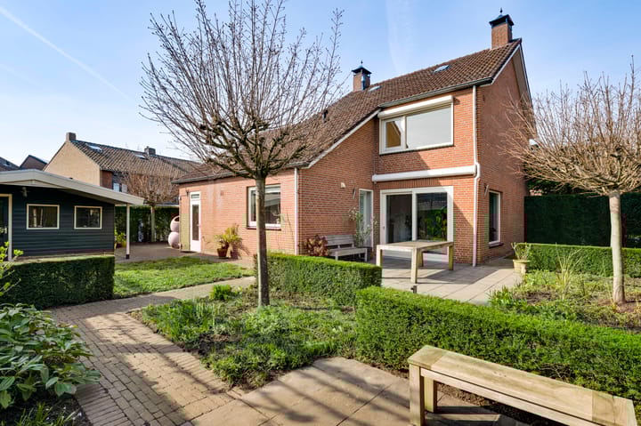 Foto 2 van Schuttecleef 2