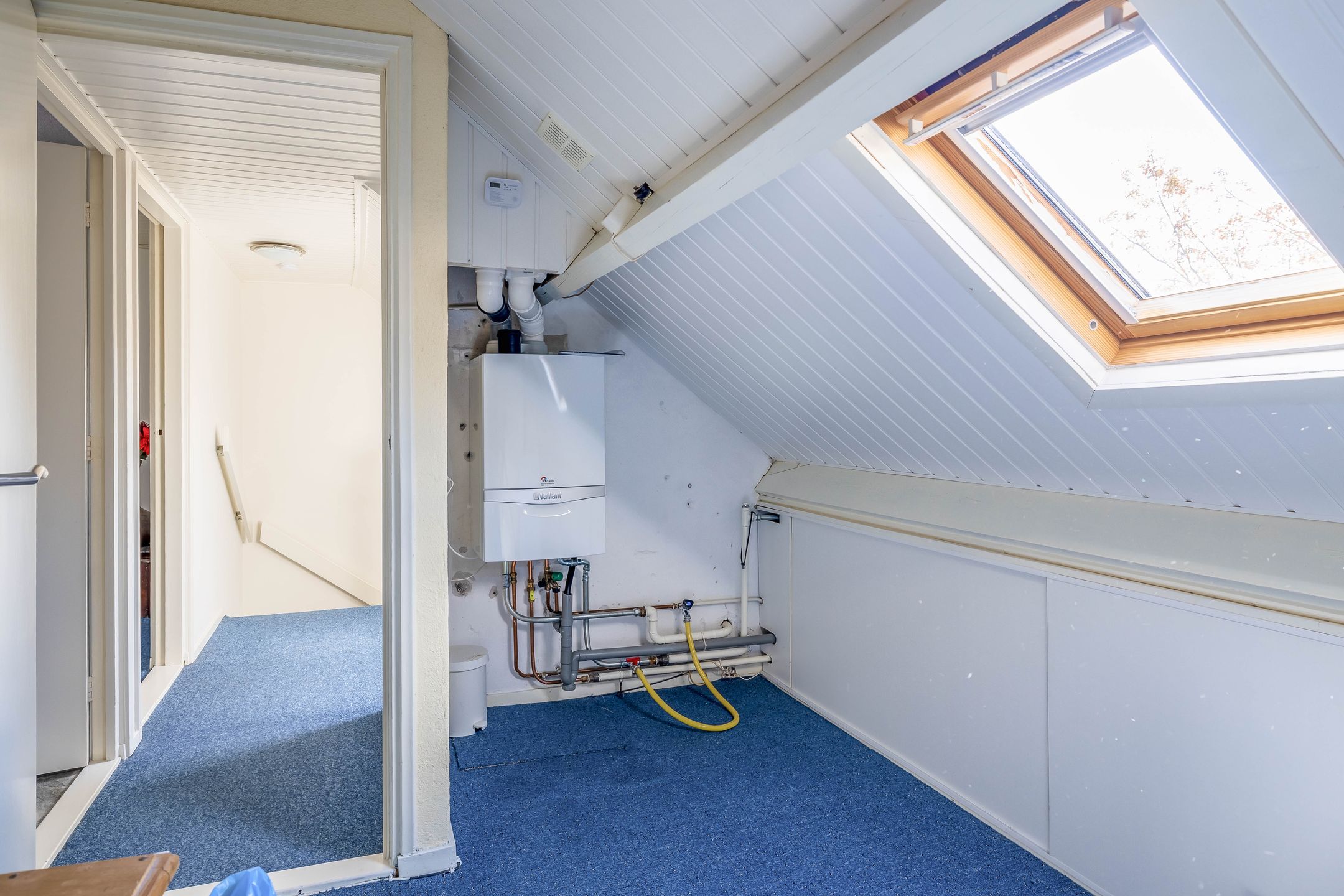 Foto 36 van Lijsterbesstraat 24