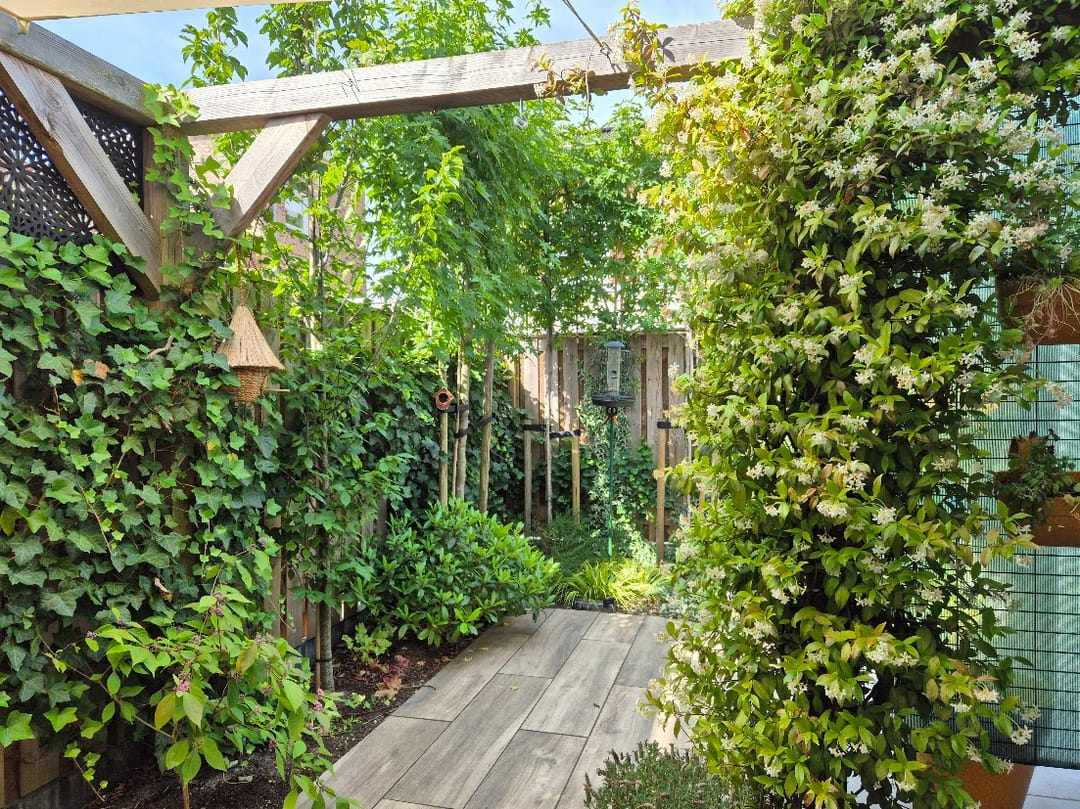 Foto 56 van Vosweide 48