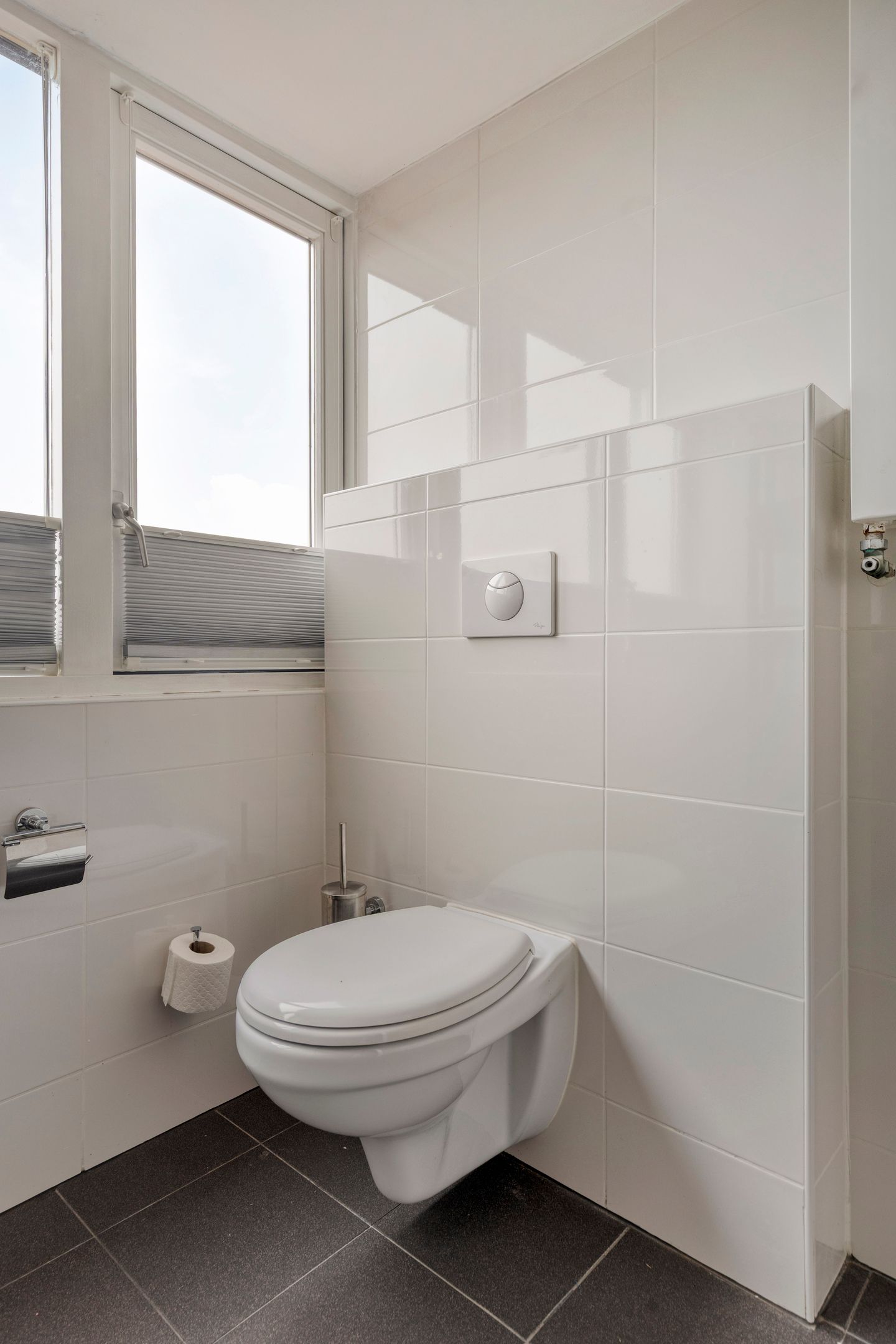 Photo 44 of Ringdijk 15