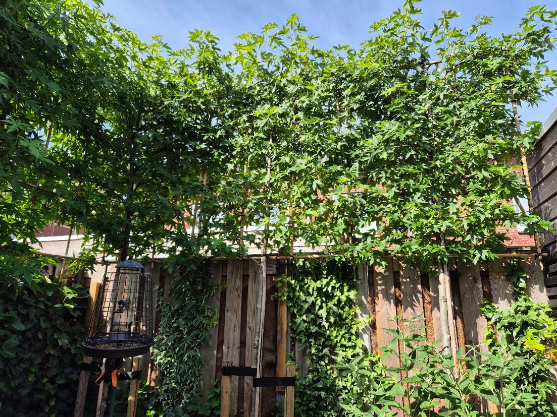 Foto 57 van Vosweide 48