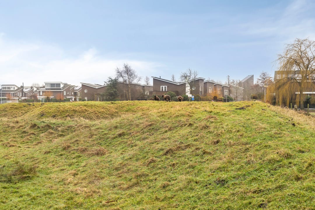 Photo 68 of Ringdijk 15