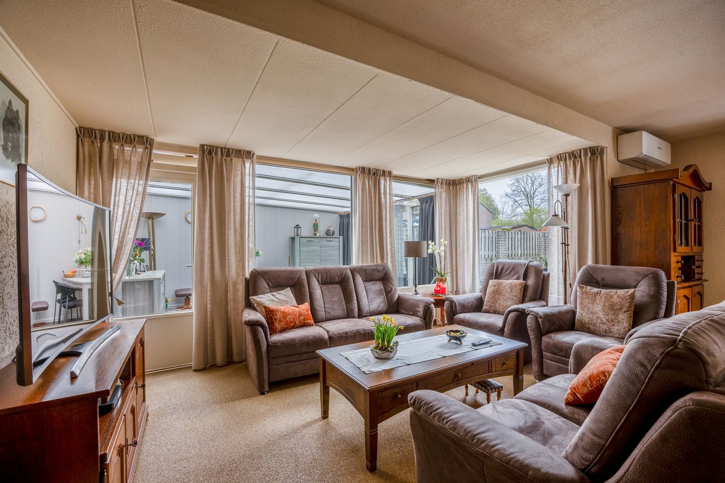 Foto 5 van Penningkruid 45