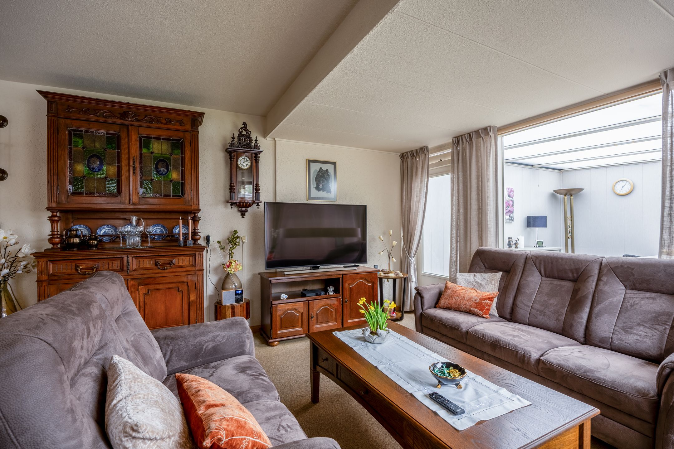 Foto 6 van Penningkruid 45