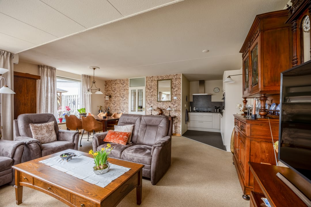 Foto 7 van Penningkruid 45