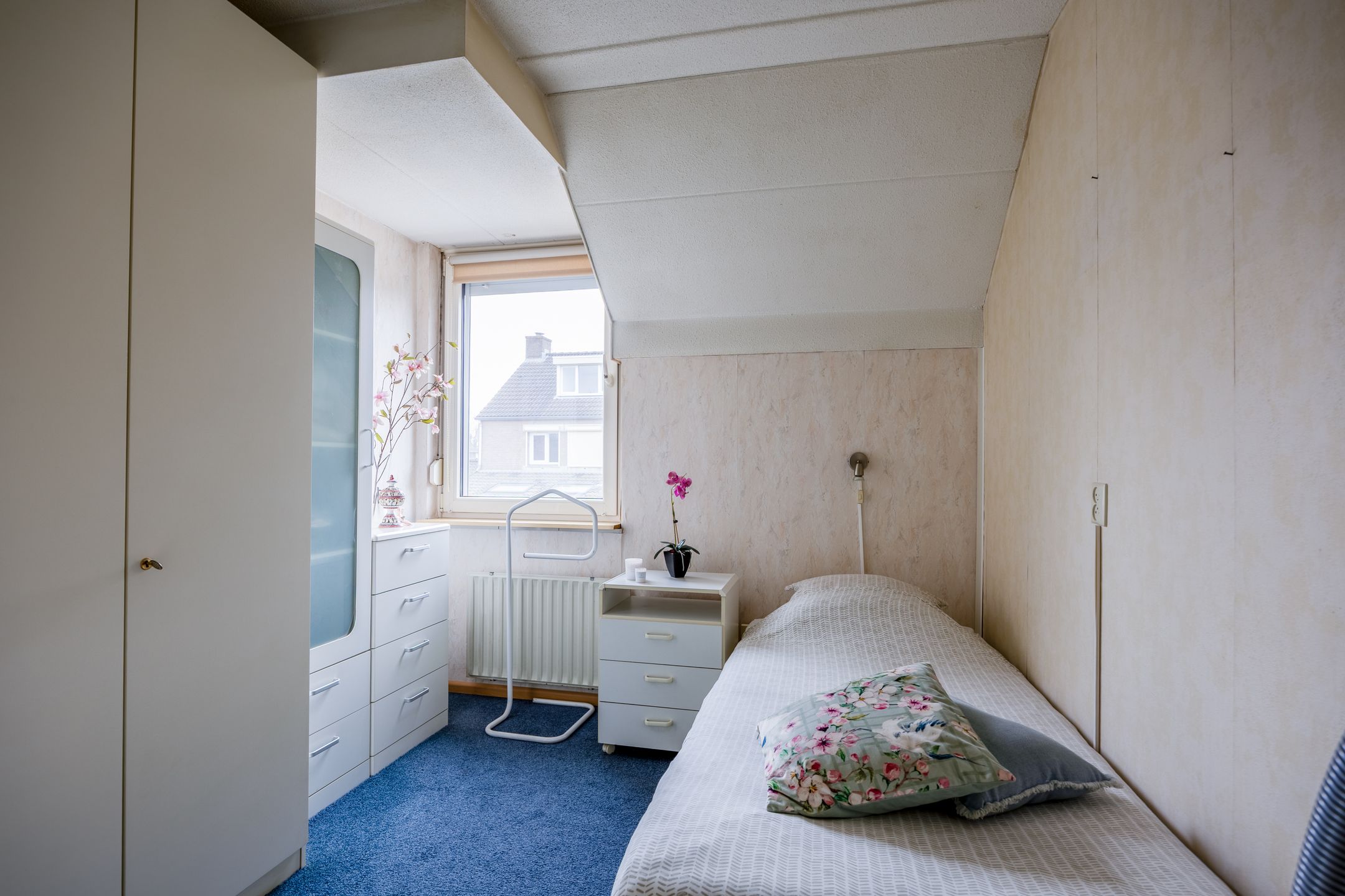 Foto 24 van Penningkruid 45