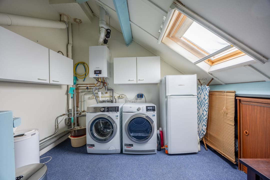 Foto 28 van Penningkruid 45