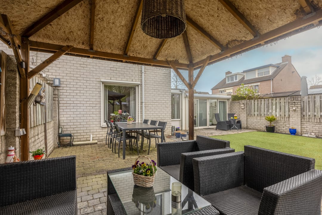 Foto 32 van Penningkruid 45