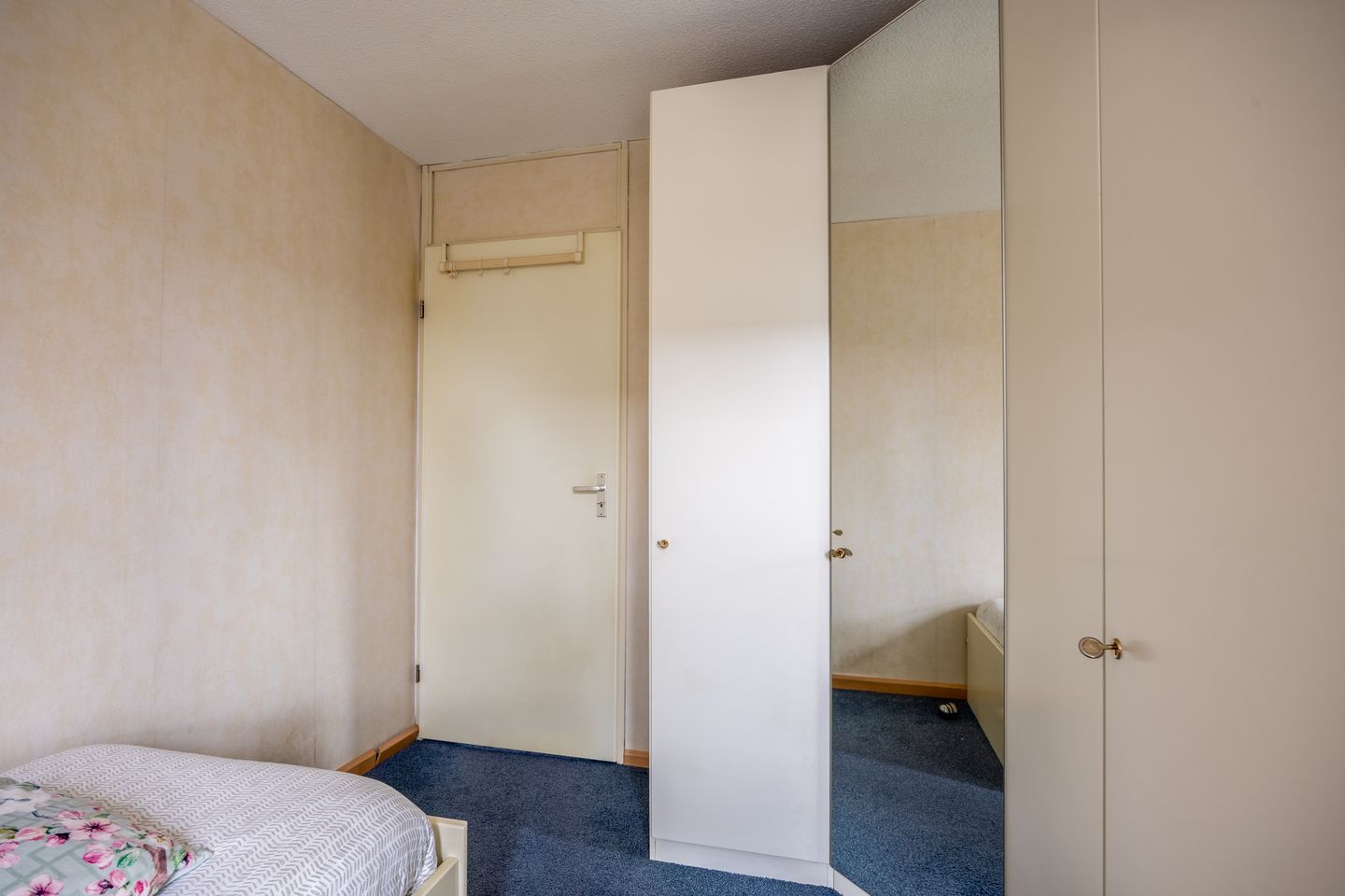 Foto 25 van Penningkruid 45