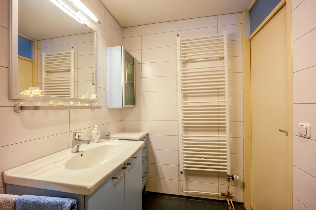 Foto 23 van Penningkruid 45