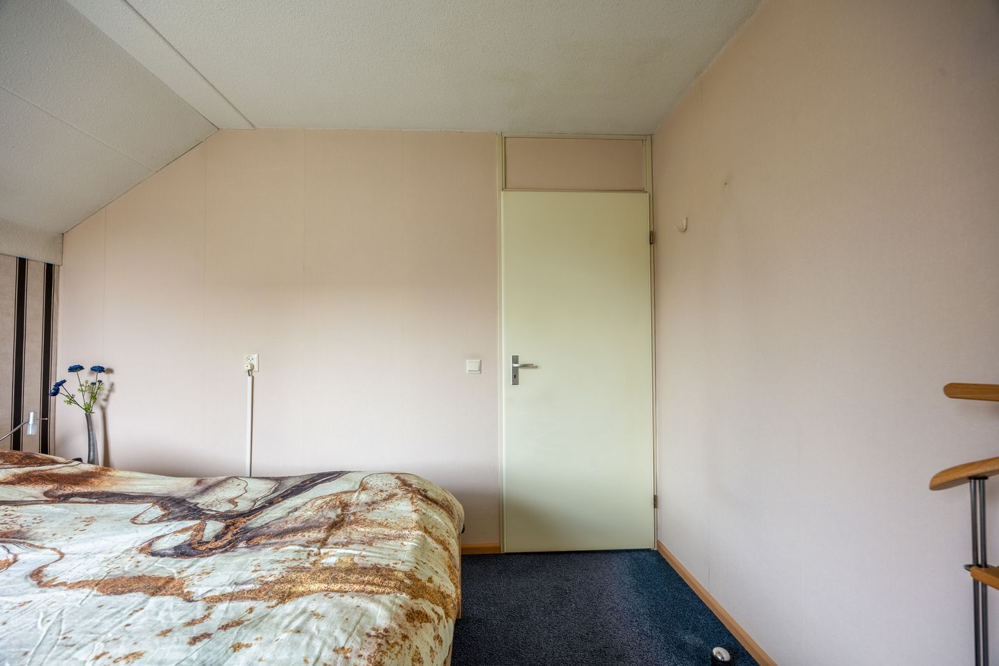 Foto 20 van Penningkruid 45