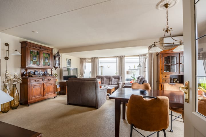 Foto 3 van Penningkruid 45