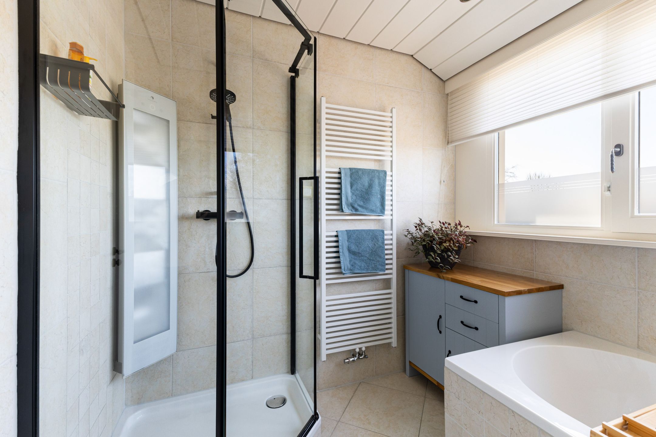 Foto 36 van Meije 172